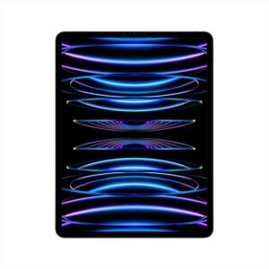 iPad Pro 12.9 6Th, M2, 2 Tb, Wi-Fi e Cell  Grigio Siderale, Usato Aziendale
